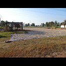 Manjok-Schnitzel werden getrocknet